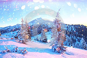 Fantastic winter landscape