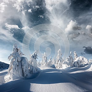 Fantastic winter landscape