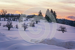 Fantastic winter landscape during sunset. colorful sky glowing with sunlight.