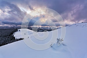 Fantastic winter morning. Landscape with fields, mountain, forest and meadow covered with snow. Beautiful sunrise. Wallpaper