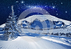 Fantastic winter starlight night