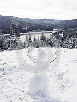 Fantastic Winter wonderland, snowman