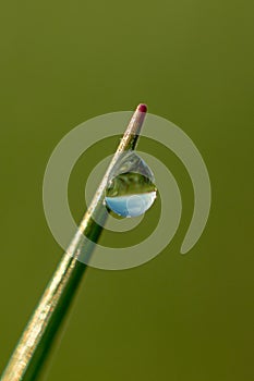 Fantastically beautiful Dewdrop on the green grass close-up. Macro