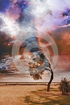 Fantasy alien landscape with bent tree and galaxy vortex