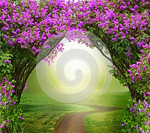 Fantasy background . Magic forest with road