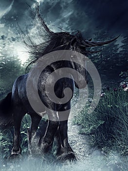 Fantasy black unicorn on a flowering meadow