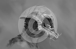 Fantasy black and white painting of large mouth alien creature with spit hanging from it`s mouth - digital illustration