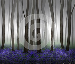 Fantasy Bluebell Wood Illustration, with mist and silhouetted trees