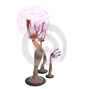 Fantasy cartoon mushrooms on an isolated white background. 3d illustration