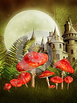 Fantasy castle and mushrooms
