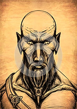 Fantasy character close up, face, brutal man, with bald head, a long, thick beard