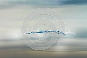 Fantasy Cloud in the Sky