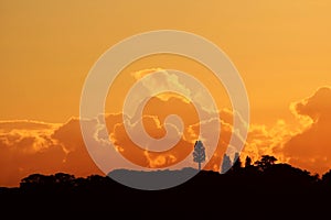 Fantasy Clouds Orange Landscape