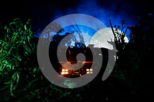 Fantasy decorated photo. Small beautiful house in grass with light. Old house in forest at night with moon. Selective focus