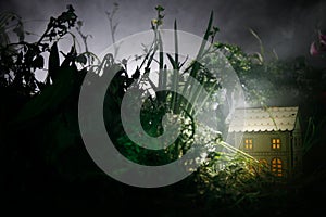 Fantasy decorated photo. Small beautiful house in grass with light. Old house in forest at night with moon. Selective focus