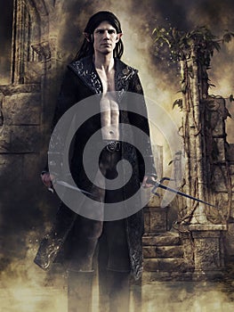 Elf assassin with short swords photo