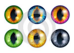 Fantasy eyes set - assorted colors. Iris pupils design.