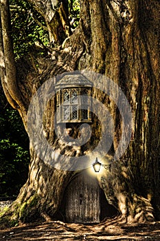 Fantasy fairytale miniature house in tree