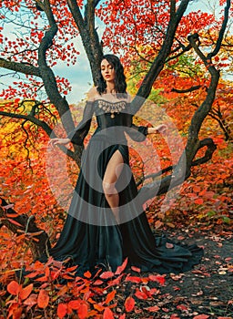 Fantasy female dark queen stands near tree, autumn magical bright forest. Fashion model sexy fairy girl in evening