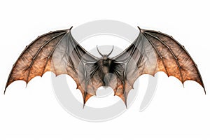 fantasy flying bat isolated on a white background