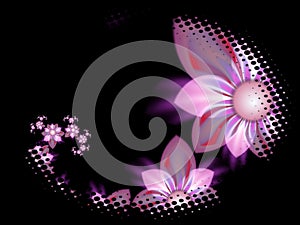 Fantasy fractal red flower on black background. Original background for your graphic design