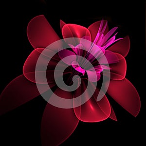 Fantasy fractals flower on black background. Original background for your graphic design