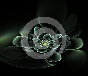 Fantasy fractals flower on black background. Original background for your graphic design