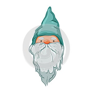 fantasy garden gnome cartoon vector illustration