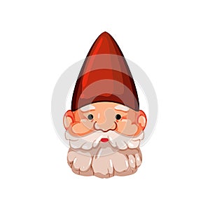 fantasy garden gnome cartoon vector illustration