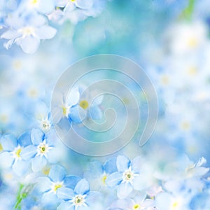 Fantasy Gentle Floral Background / Blue Flowers Defocused