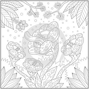 Fantasy herbivore flower, Adult and kid coloring page for education and learning