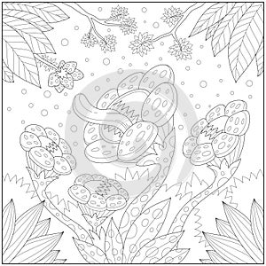 Fantasy herbivore flower, Adult and kid coloring page for education and learning photo