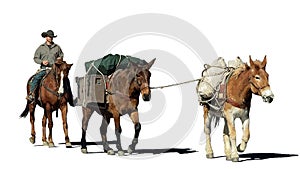 Fantasy illustration of a cowboy and his pack mules on a white background