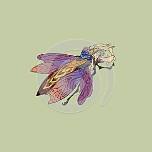 Fantasy illustration. Man is riding a bug. Design character. Hand drawn vector