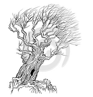 Fantasy illustration of old tree resisting the wind. Autumn landscape with willow tree silhouette. Print for fabric and tattoo. photo