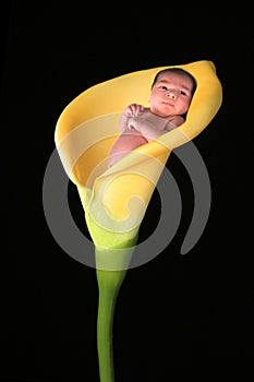 Fantasy Image of Infant Baby