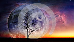Fantasy landscape - Lonely bare tree silhouette with huge planet