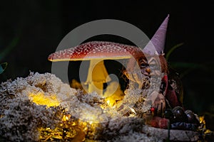 Fantasy Magical Mushrooms and elfs in enchanted Fairy Tale dreamy elf Forest with fabulous Fairytale moss and lights on