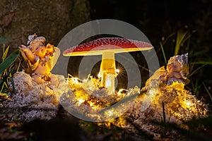 Fantasy Magical Mushrooms and elfs in enchanted Fairy Tale dreamy elf Forest with fabulous Fairytale moss and lights on