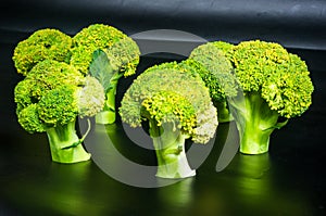 Fantasy mini landscape - trees made with broccoli on a black background, simulating a miniature forest. Concept nature