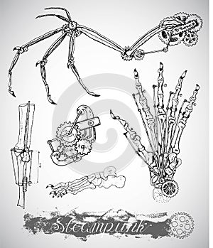 Fantasy monster wing, leg and hand with vintage mechanism in steam punk style