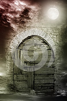 Fantasy night door