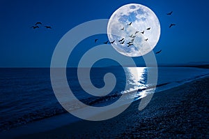 Fantasy night seascape with super moon and flying birds