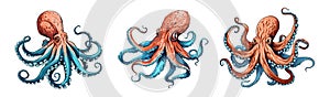 Fantasy octopus characters. Crazy ocean octopuses, angry marine life animals. Isolated cartoon sea vector character