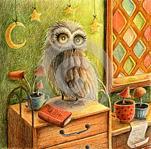 Fantasy owl, cup, mushrooms, witch's room and book.