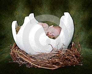 Fantasy Portrait Ifant Sleeping in Cracked Egg