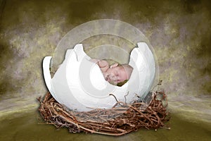 Fantasy Portrait Ifant Sleeping in Cracked Egg