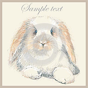 Fantasy portrait of a rabbit.