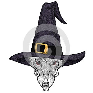 Fantasy portrait of wild rat or mouse wearing magic wizard hat. Cartoon witch. Fairy tale character. Symbol chinese