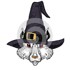 Fantasy portrait of wild rat or mouse wearing magic wizard hat. Cartoon witch. Fairy tale character. Symbol chinese